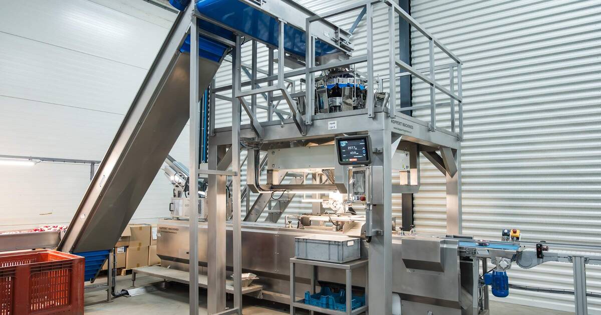 Multipacker automatic vegetable packaging | Koppert Machines