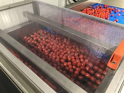 Koppert-Machines-cherry-tomato-washing-machine