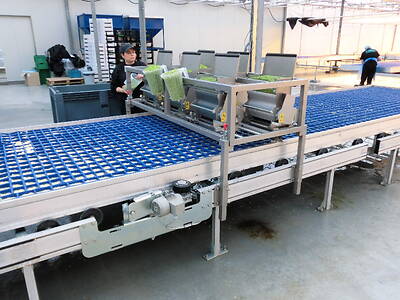 koppert-machines-sowing-line-cress