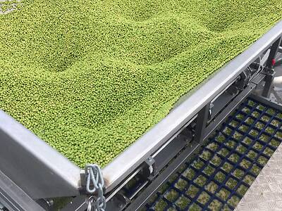 koppert-machines-sowing-line-cress