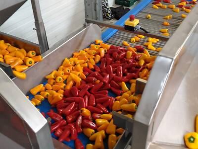 Koppert-Machines-dosing-and-supply-line