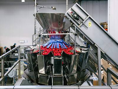 Koppert-machines-multihead-and-lineair-weighers