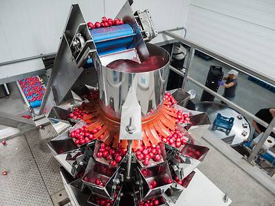 Koppert-machines-multihead-and-lineair-weighers