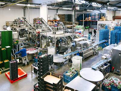 Koppert-machines-multihead-and-lineair-weighers