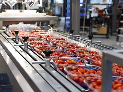 Koppert-Machines-Multipacker-packaging-tomatoes-snack-vegetables