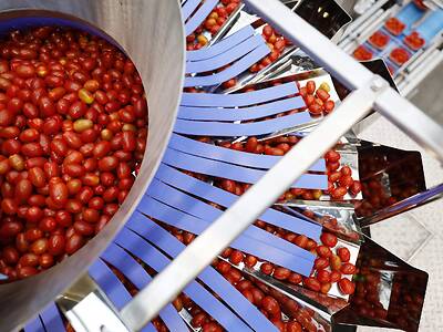 Koppert-Machines-Multipacker-packing-tomato-snackvegetable