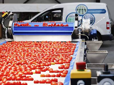 Koppert-Machines-Multipacker-packing-tomato-snackvegetable