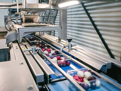 Koppert-Machines-Multipacker-packaging-tomatoes-snack-vegetables