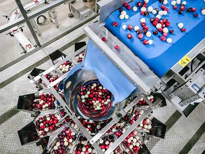 Koppert-Machines-Multipacker-packaging-tomatoes-snack-vegetables