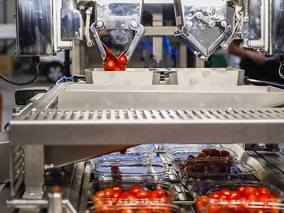 Koppert-Machines-Multipacker-packaging-tomatoes-snack-vegetables