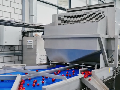 Koppert-Machines-Radish-processing-washing