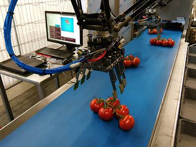 Koppert-Machines-robotics-packing-processing