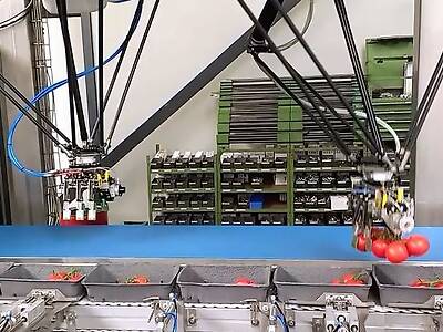 Koppert-Machines-robotics-packing-processing