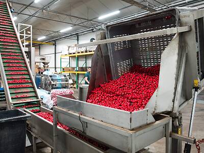 Koppert-Machines-Radijs-thurlings-packaging-machine