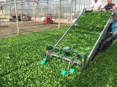 Koppert-Machines-sowing-harvesting-machine-lambslettuce