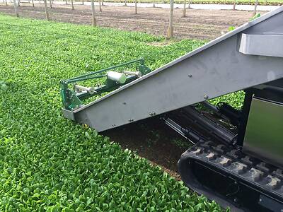 Koppert-Machines-sowing-harvesting-machine-lambslettuce