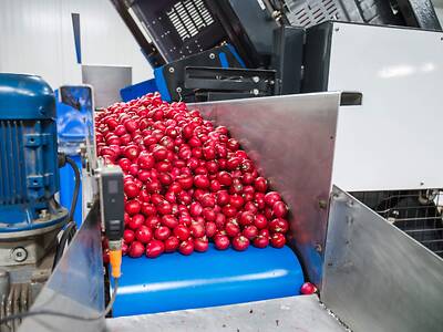 Koppert-Machines-Radish-vertical-packaging-machine