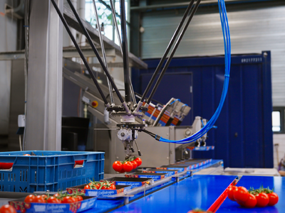 Koppert-Machines-Smart-Picker-vine-tomato-robot