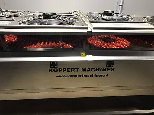 Koppert-Machines-cherry-tomato-washing-machine