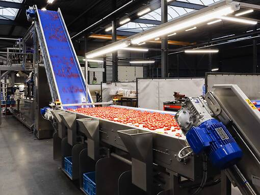 Koppert-Machines-Multipacker-packing-tomato-snackvegetable