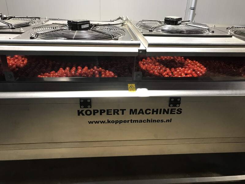Koppert-Machines-cherry-tomato-washing-machine