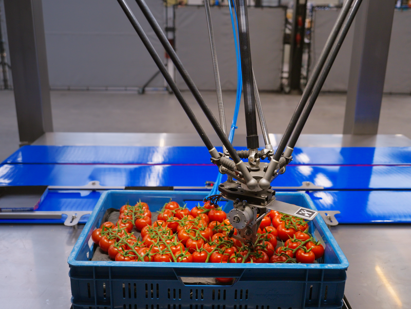 Koppert-Machines-Smart-Picker-vine-tomato-robot